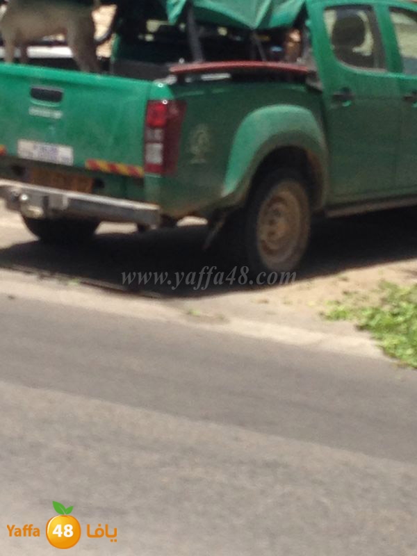 lo7oom lud 0527 (7).JPG